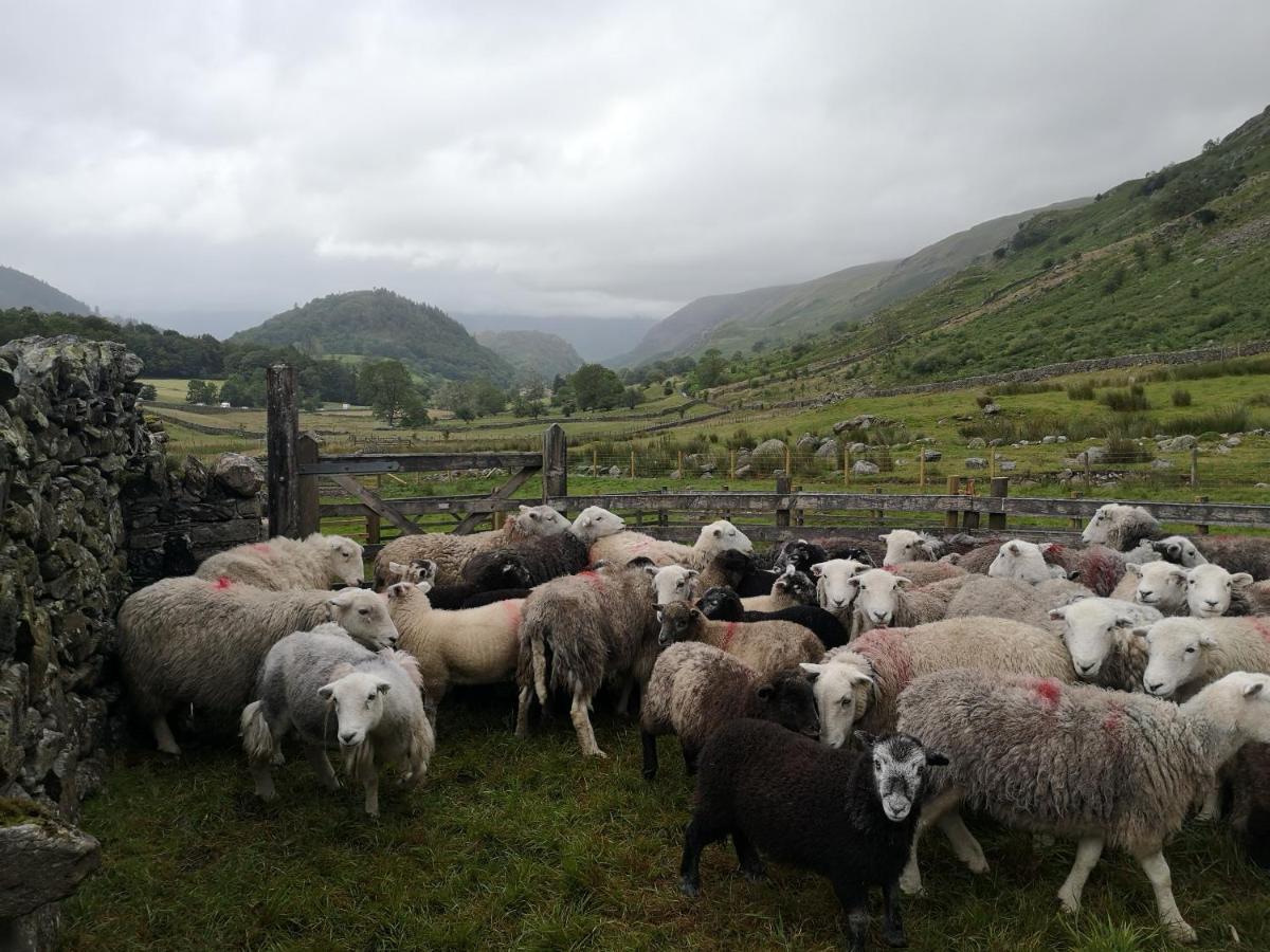 Villa Stybeck Farm Thirlmere Exterior foto